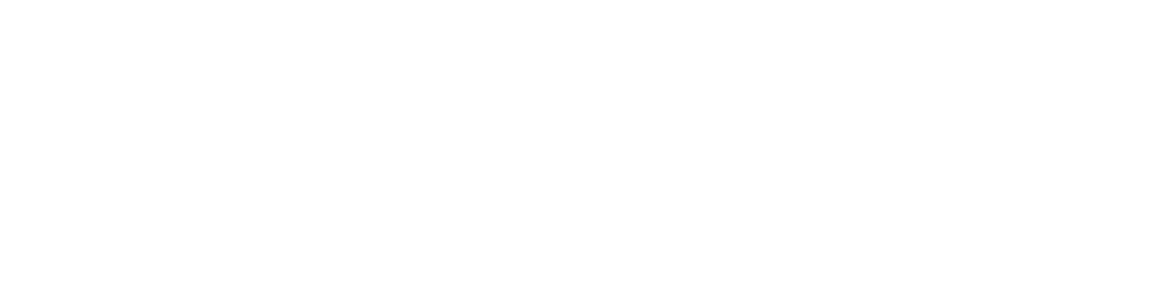 Logo blanc Clean Brothers Services